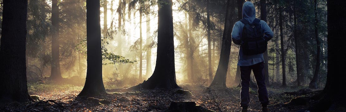 DNA by Dennis Kelly | GCSE English Literature